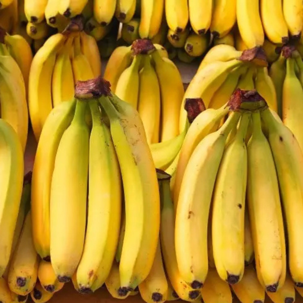 chuối laba đà lạt, trái cây thiên long