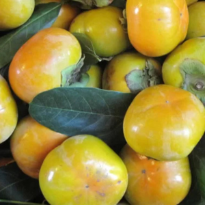 hồng giòn đà lạt, trái cây thiên long, vựa trái cây