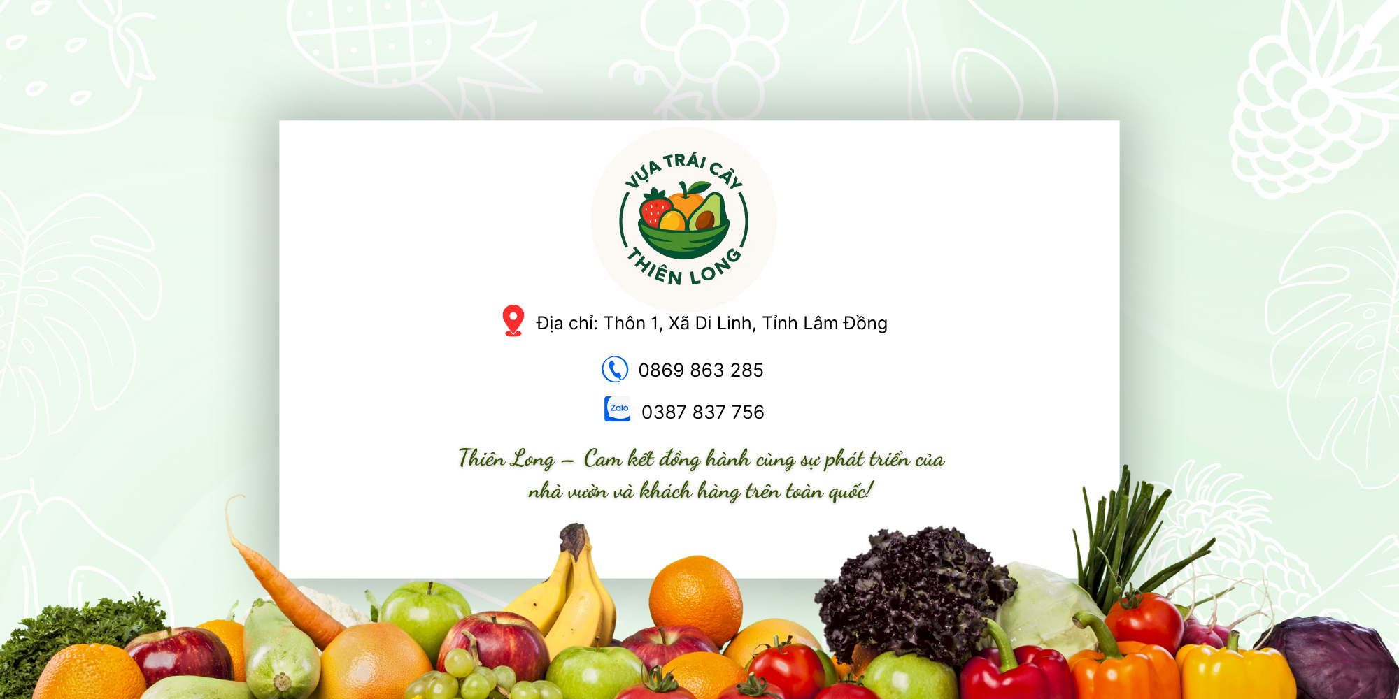 vựa trái cây, vựa trái cây thiên long